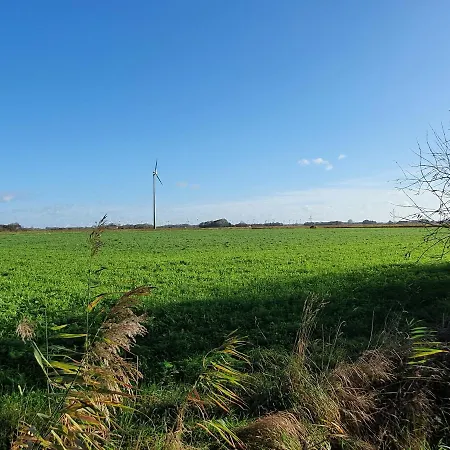 Nordseeblick